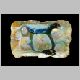 Abalone.jpg
