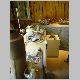 DSC03495.JPG